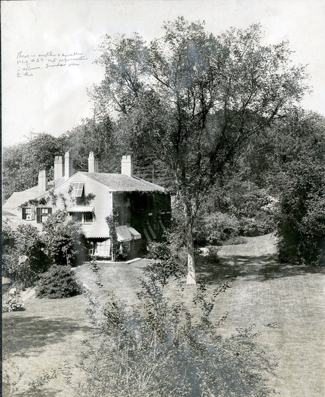 Black and white photograph of aerial view of large home and landscape. While there are trees on the edges of the property, the center is an open grassy area, except one tree at the center towering over the house, roughly three times the size of it.