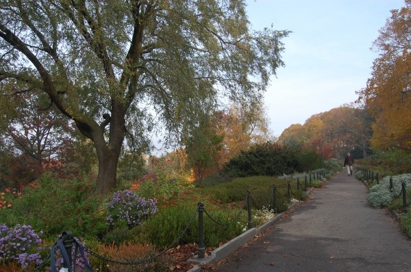 Modern photo of the Heather Garden in Fort Tryon Park.