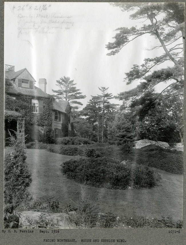Black and white of sloping hill of estate, with home at top, with vines creeping over it, trees and shrubs planted around.