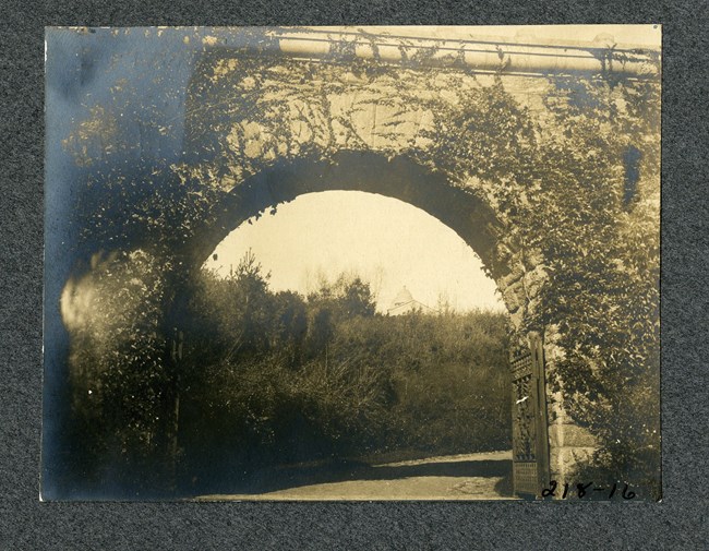 Black and white photograph of brick arch with vines creeping all over it. Through the arch are some shrubs, and on top of a hill in the distance is a building