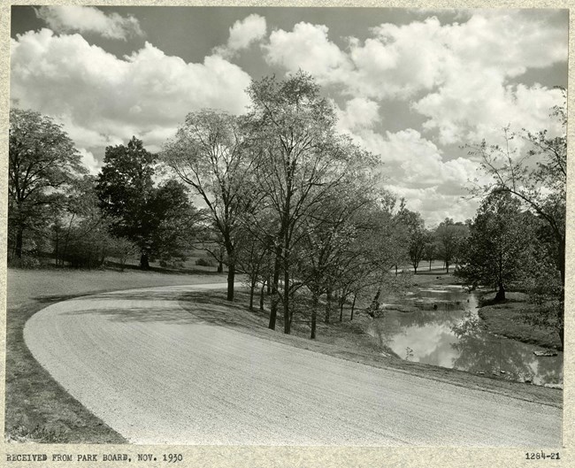 Black and white with dirt road cutting through grassy area with trees on both sides and a small river on one side