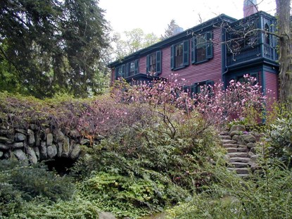 Stone steps leading to large house with foliage on both sides.