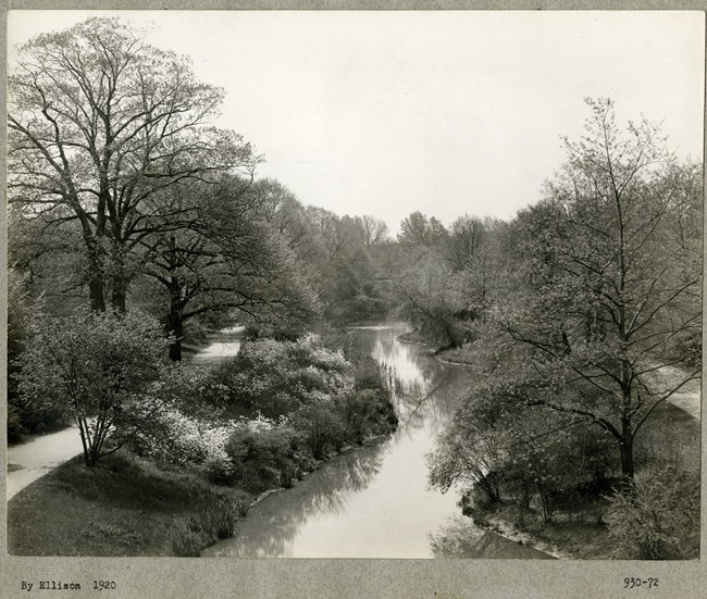 Black and white of river with lush plantings on both sides, paths on both sides, and more plantings on the other side.