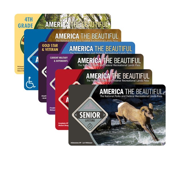 A variety of 5 passes from the America the Beautiful Pass program.