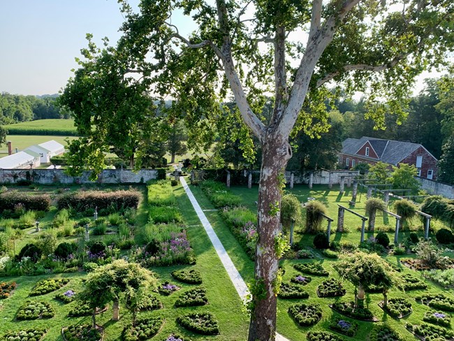 Birds-eye view of walled garden full of blooming flowers and plants.