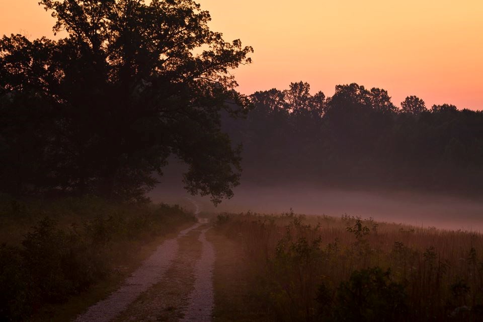 Sun sets and mist hangs low over a dirt section of the Spotsylvania History Trail