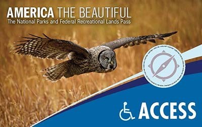America The Beautiful Access Pass; An owl flying over a wheat field.