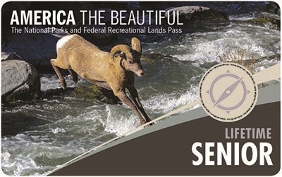 America The Beautiful Senior Liftime Pass; a ram jumping off of a rock into a rushing river.
