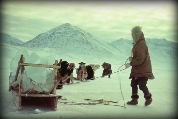 Two Nunamiut Eskimo use a traditional dog team and sled to gather ice from a lake near Anaktuvuk Pass.