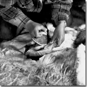 Nunamiut woman cutting caribou hide with ulu, a traditional women's knife (Anchorage Museum of History and Art, Ward W. Wells Collection, WWS-5122-9)