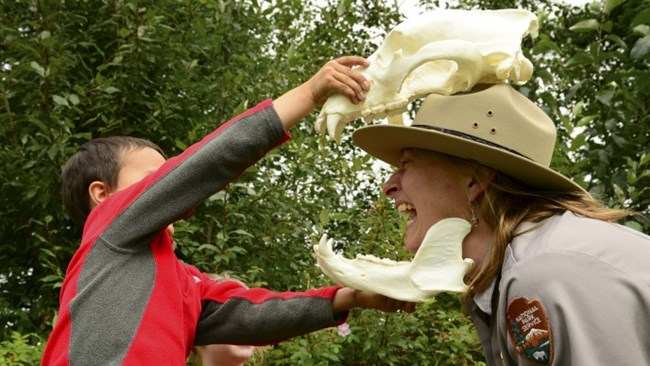 Child holds a bear skull around a park ranger's head