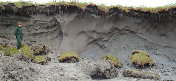Permafrost-ground-ice,-ice-wedges-Dave-Swanson-750px-title
