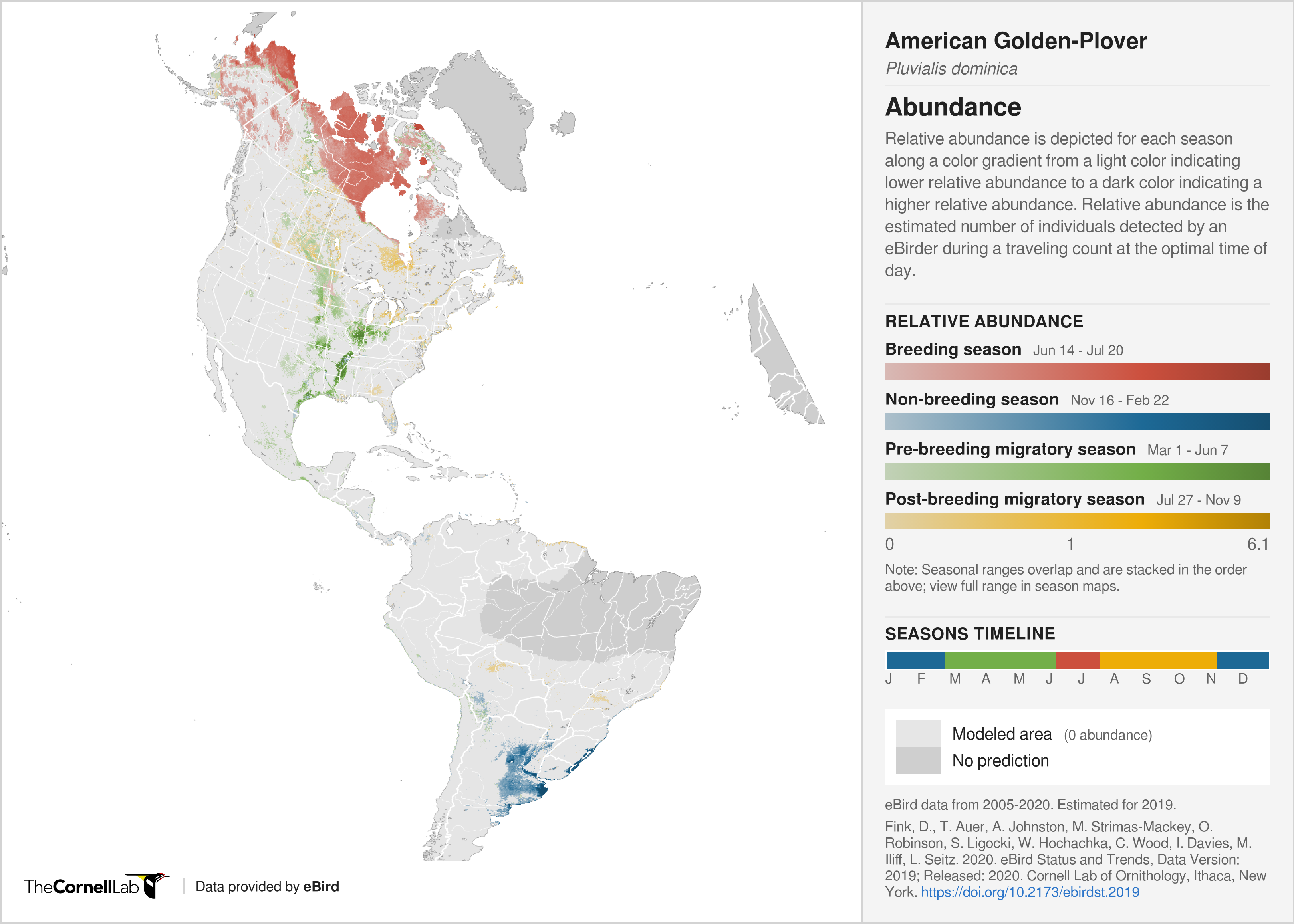 map showing the abundance of American Golden Plovers in the Americas