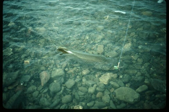  Fishing - Gates Of The Arctic National Park Preserve U.S. National 