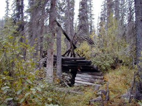 A historic cabin that fallen in on itself.