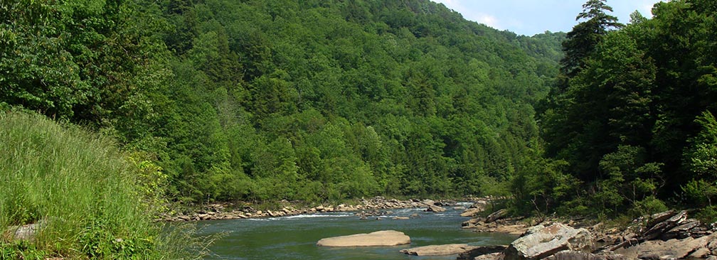 river flowing through forested gorge