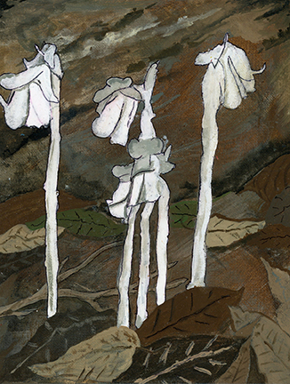 artwork - painting of a white, pipe-shaped flower