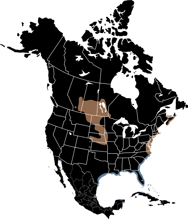 Plover Range in North American