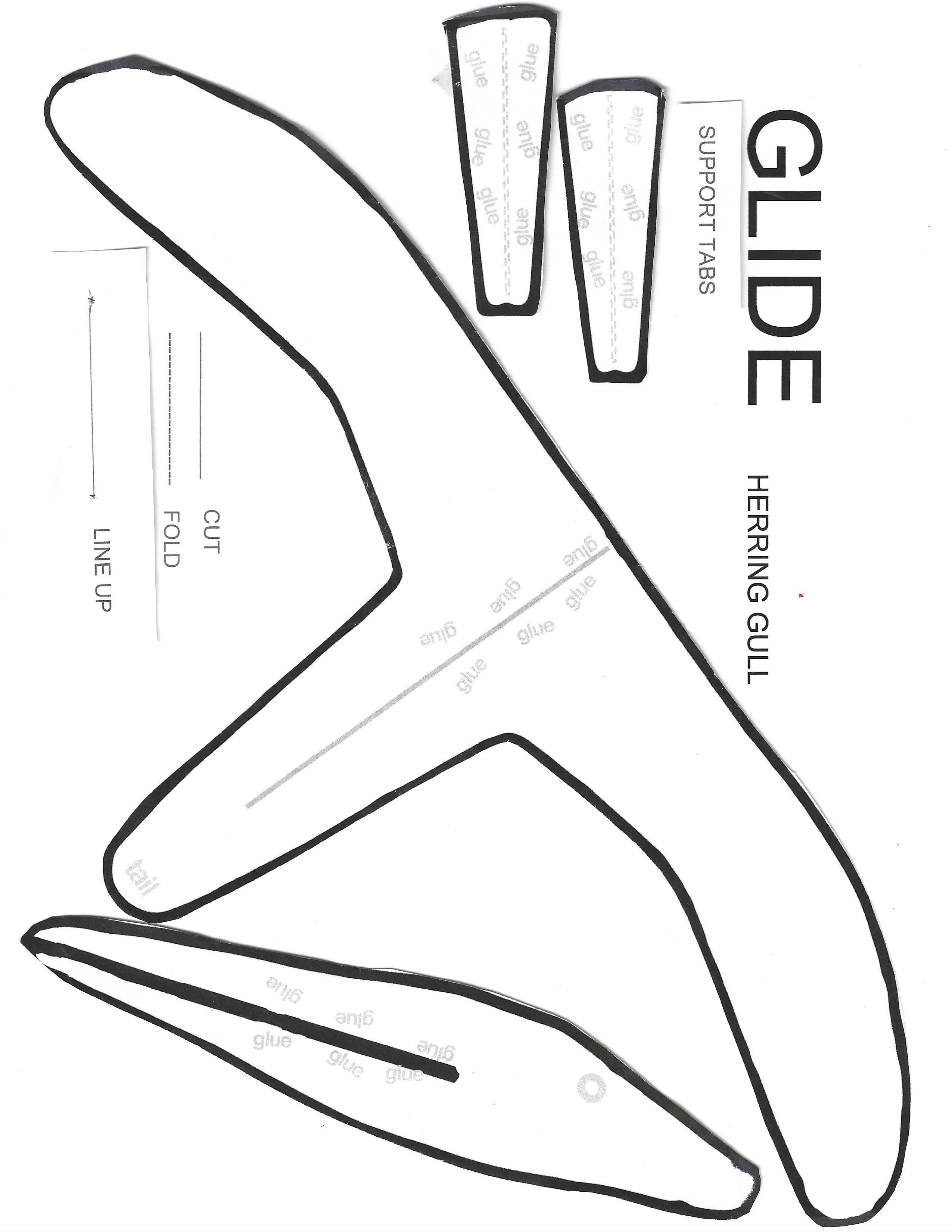 Cut out these pieces to create a model of a gliding bird