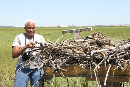 Nena gets involved in the osprey banding in Jamaica Bay.