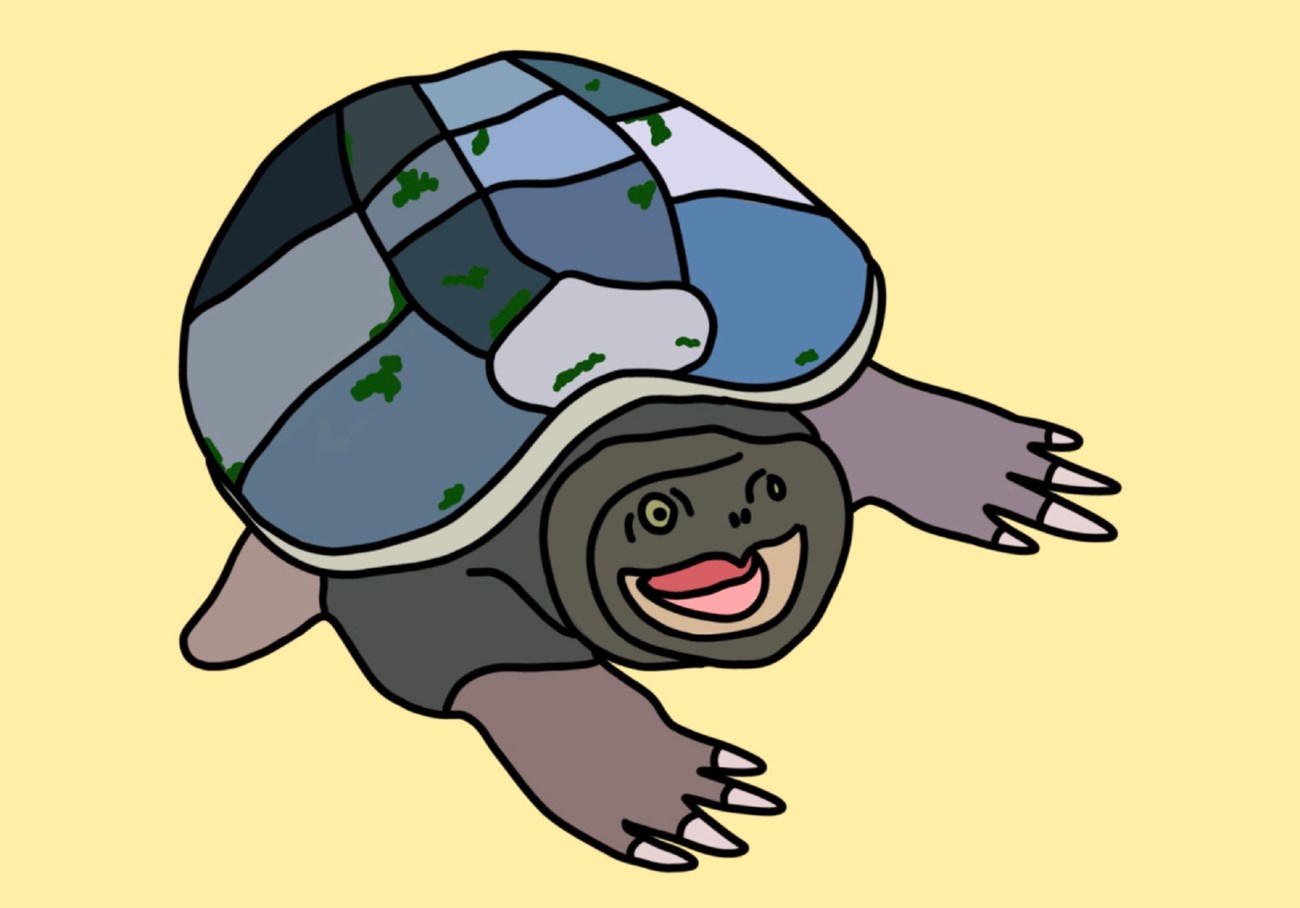 Snapping turtle drawing