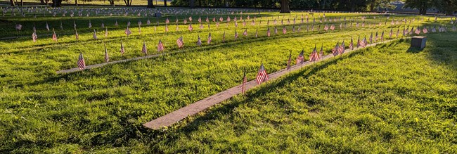 Rows of graves marked with American Flags