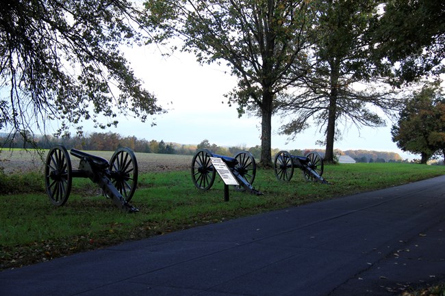 Several artillery pieces along a ridge