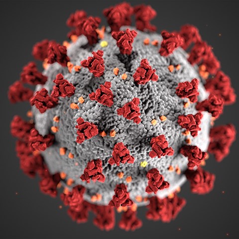 This illustration, created at the Centers for Disease Control and Prevention (CDC), reveals ultrastructural morphology exhibited by coronaviruses. Note the spikes that adorn the outer surface of the virus.