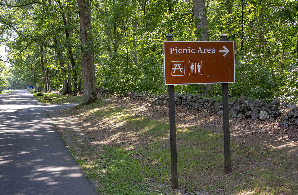 A brown and white Picnic Area sign stands to the right of a park road and to the left of a stone wall and a row of trees.