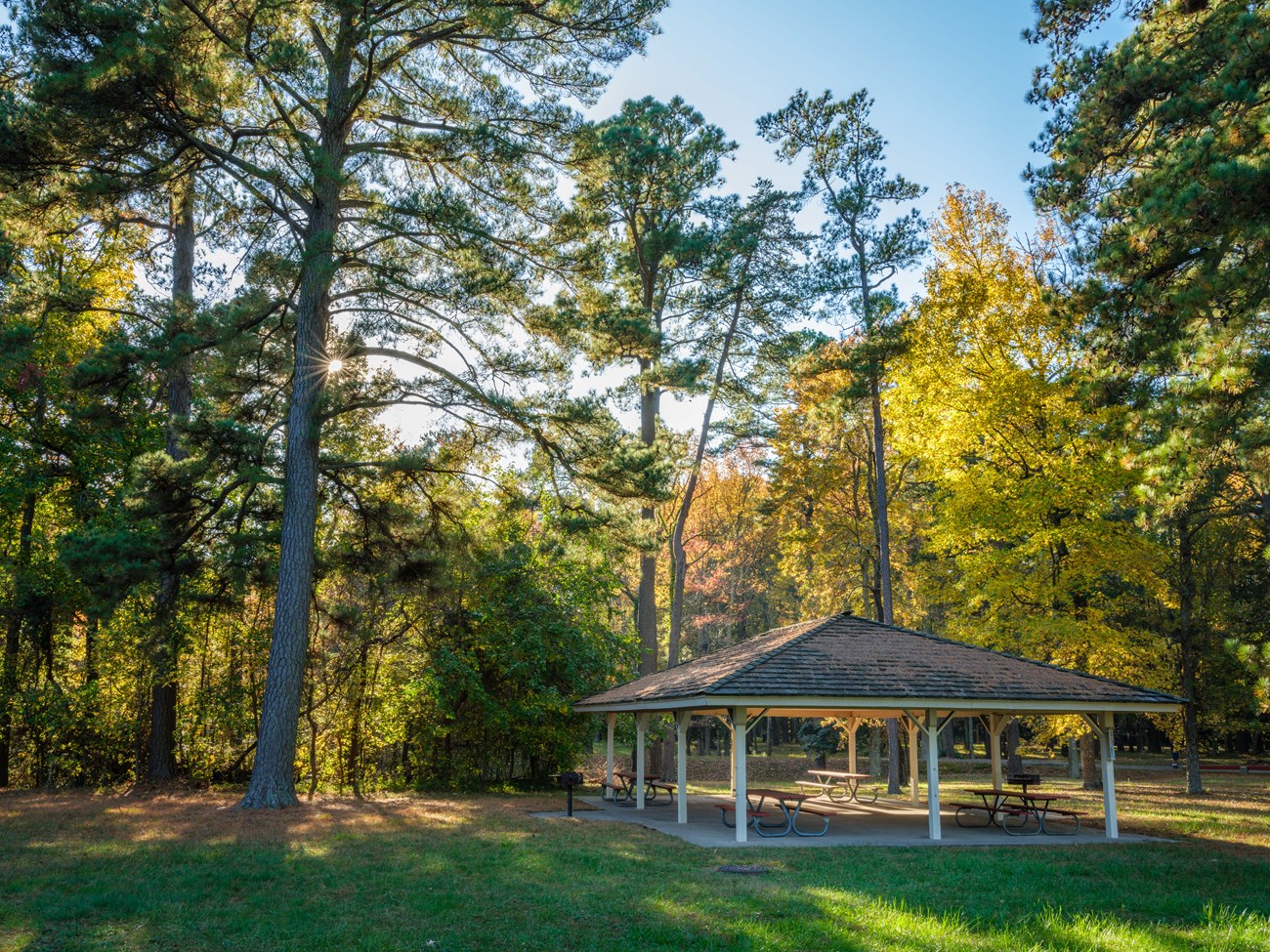 Picnic Area in Autumn