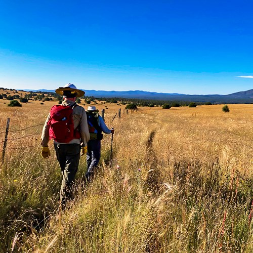 Hikers walk next to a fence surronded by grasses and mountains in the distance