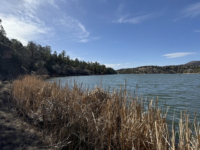 A view of a lake with vegetation in the distance and the foreground
