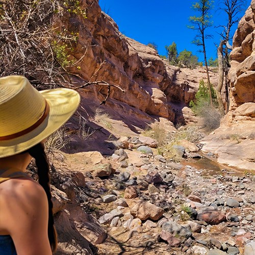 A female walks through a canyon with yellow colored rocks on either side the base of the canyon is rocky and has small amounts of water