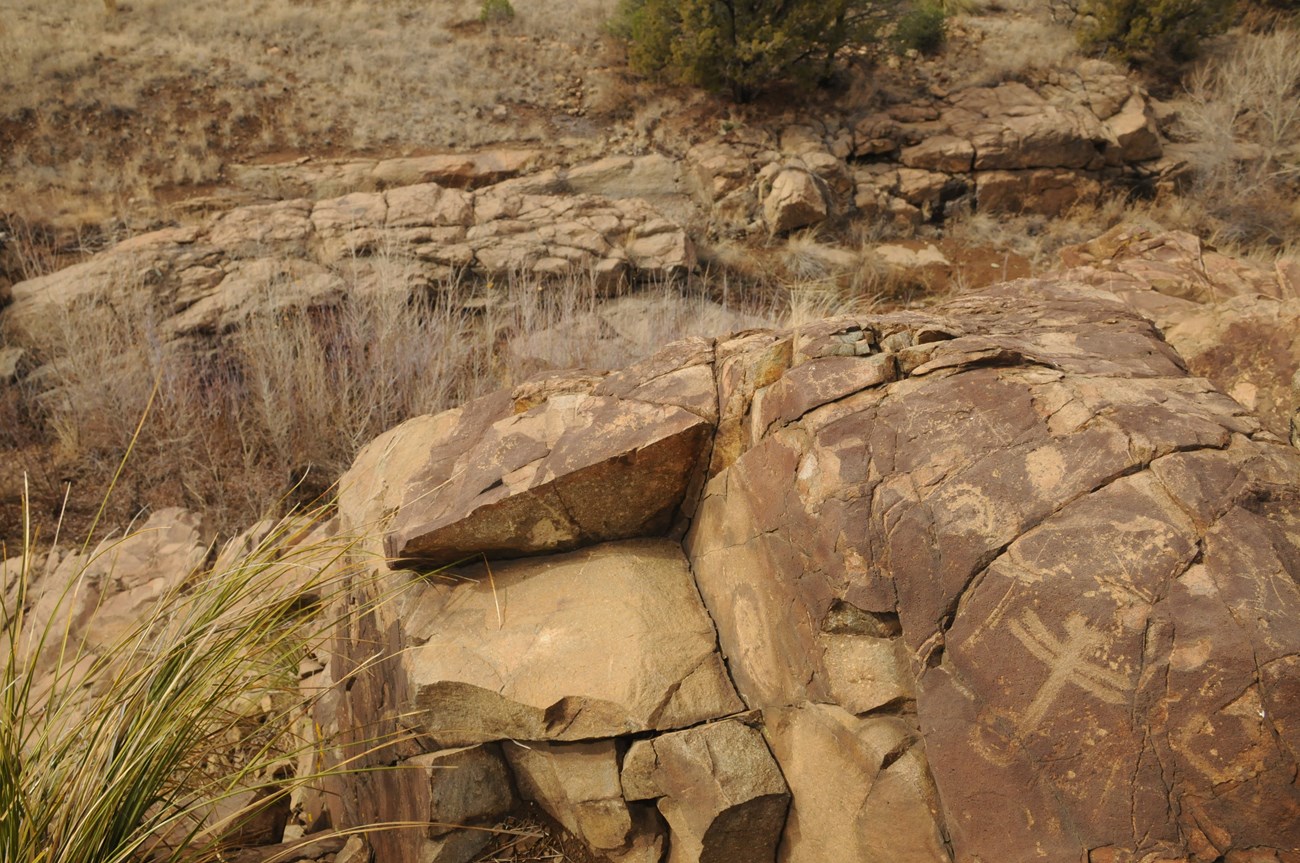 The likeness of a dragonfly can be seen etched into a desert rock, surrounded by other petroglyphs.