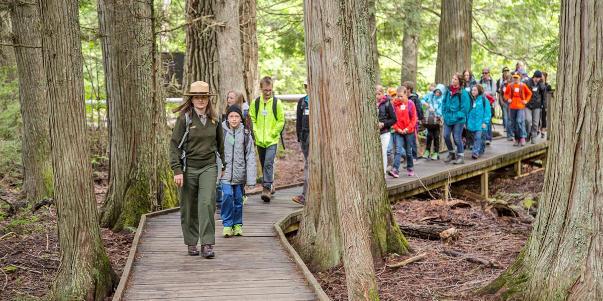 Ranger leading a group of children on a hike through tall cedar trees
