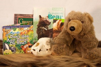 bear trunk contents: stuffed bear, books, bear skull and fur