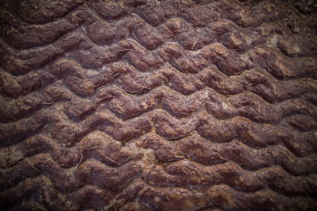 Ripple formations in red argillite.