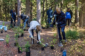 Students dig in clearing in forest surrounded by small potted plants