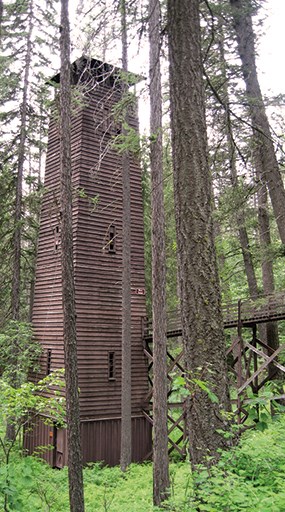 Tall wooden structure in the woods