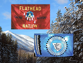 tribe flags over a mountain scene