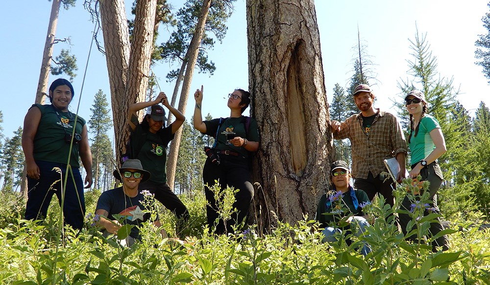 Group of seven researchers pose by a modified tree