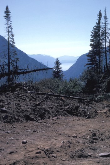 A bare scrape of earth made by a bulldozer is in the foreground, surrounded by a few remaining trees. A view in the background looks over steep mountains and a distant lake.