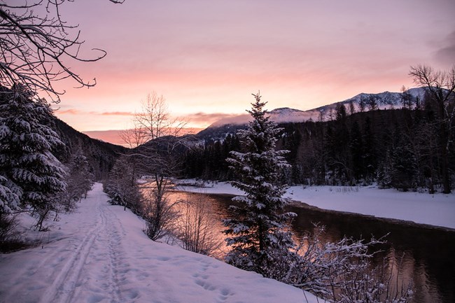 Dark water of a river flows down towards the pink and yellow sky of a sunset. White snow covers the riverbank and the branches of coniferous trees lining the shore.