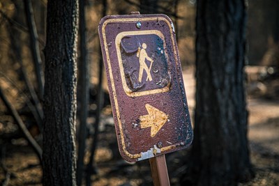 A burnt and peeling hiking sign is damaged from a wildfire with charred trees in the background.