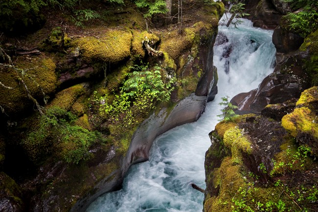 A rushing stream cuts through dark brown rock forming a small canyon. Above the rock is green moss and foliage.