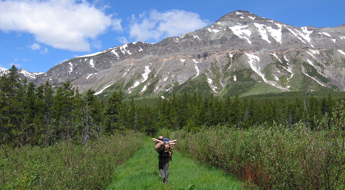 Researcher heads down grass path toward looming mountain