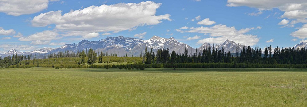 prairie with large mountain backdrop