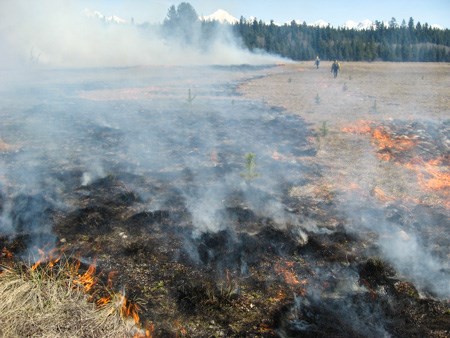 Two fire personnel light a prescribed burn in a meadow of short grass. Blackened grass and short flames smolder in the foreground.