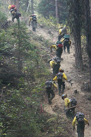 Ten firefighters with gear hike up trail