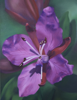 Fireweed painting by Ray Radigan